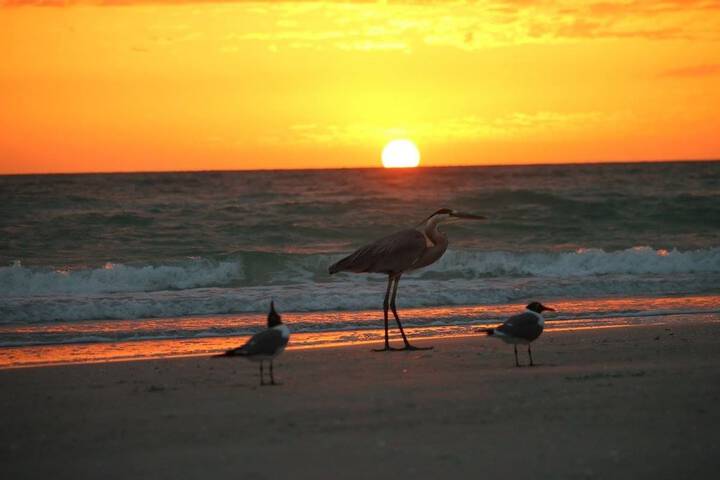 Beach 63 of 67