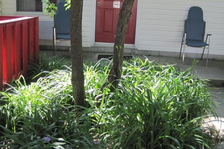 Property Grounds 29 of 29