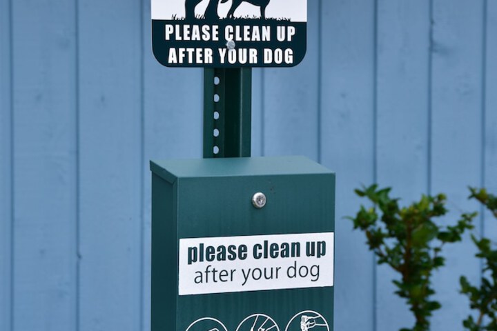Pet Friendly 71 of 83