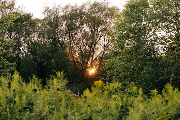 Battenkill Glamping Resort