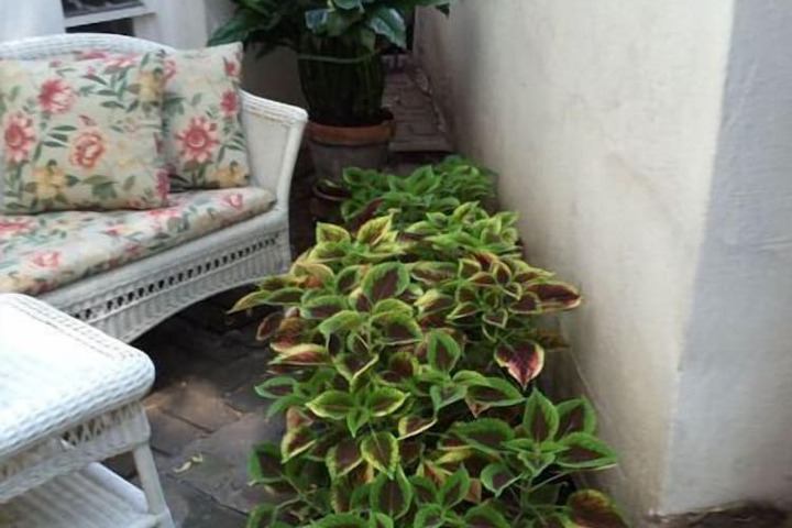 Terrace/Patio 233 of 238