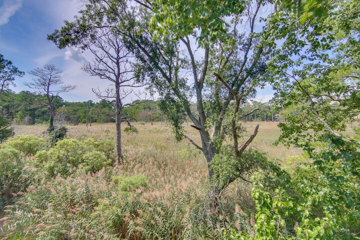 Home w / Wetland Views- Half Mi to Bethany Beach!