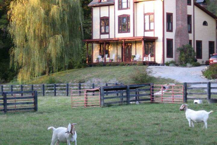 Hotel 4 of 47
