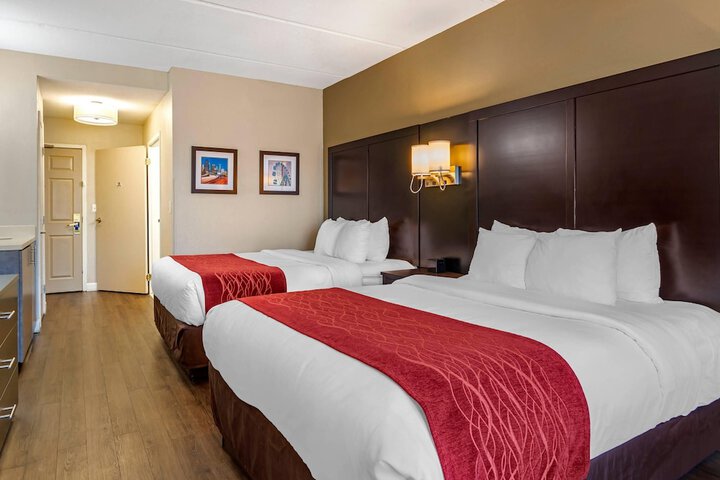 Comfort Inn & Suites near Six Flags