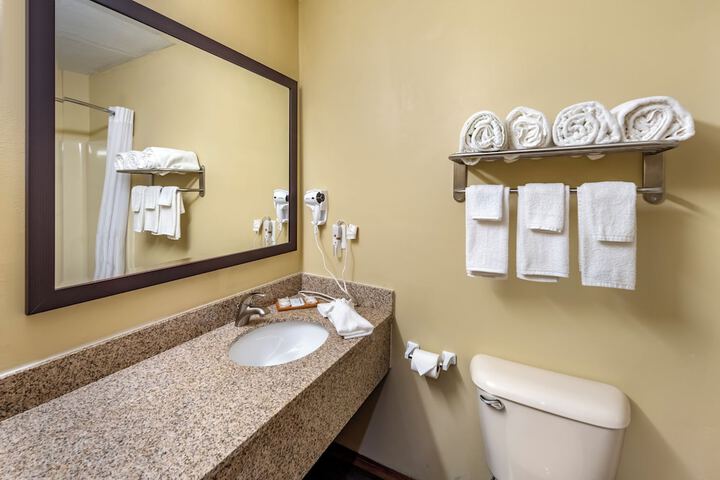 Quality Inn Greenville North