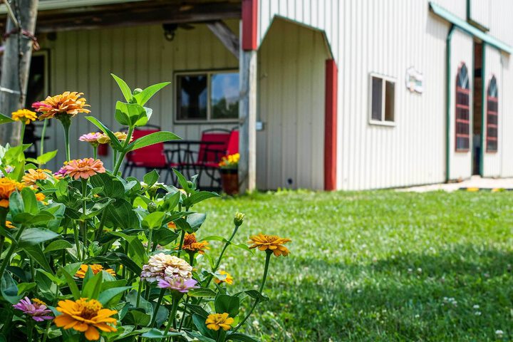 Renovated Bunkhouse on 12-acre Horse Farm!