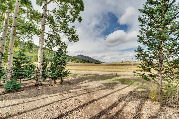 Mountain Views: Cabin in Fort Garland Near Hiking