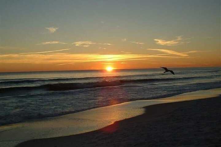 Beach 41 of 53