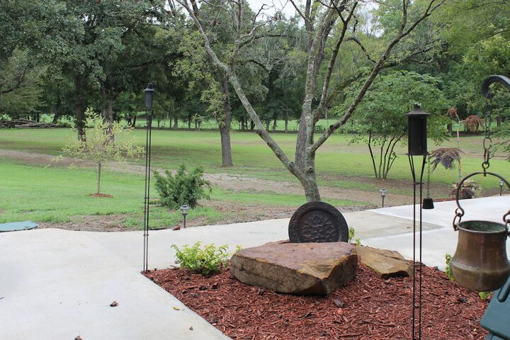 Terrace/Patio 48 of 56