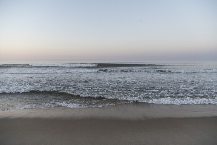 Marram