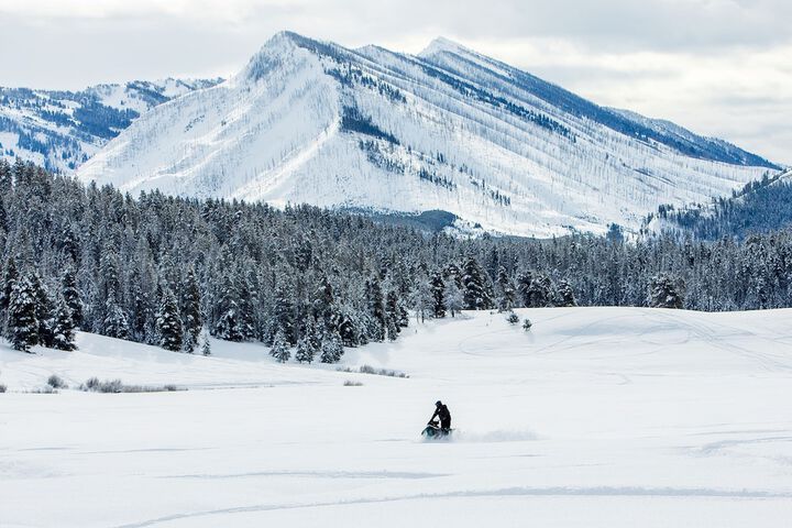 Flying Saddle Resort
