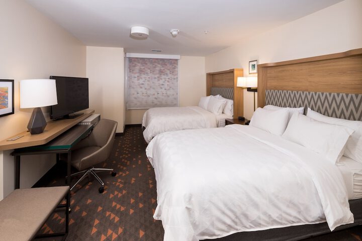 Holiday Inn & Suites Ann Arbor Univ Michigan Area by IHG