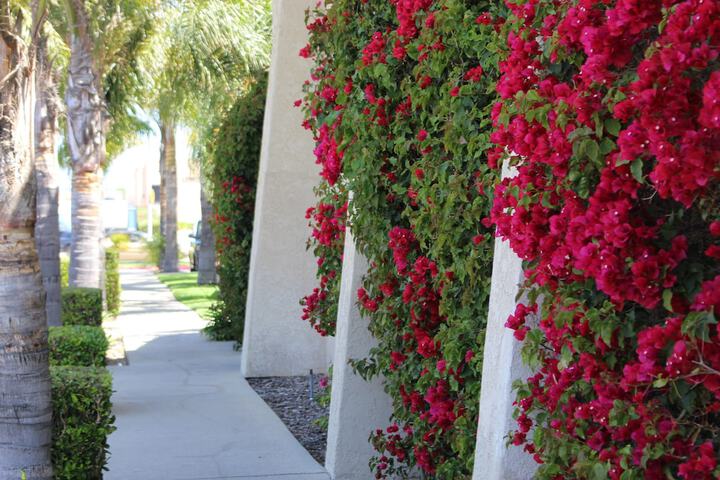 Ocairns Inn & Suites