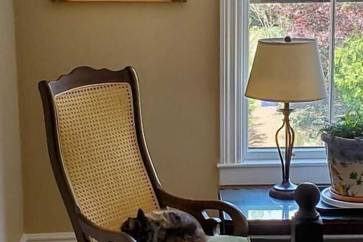 Davis Square Inn