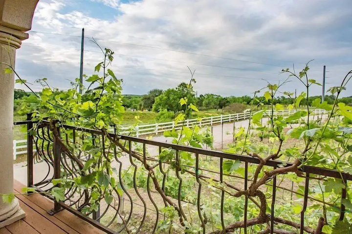 The Vineyard B & B at Lost Creek Ranch