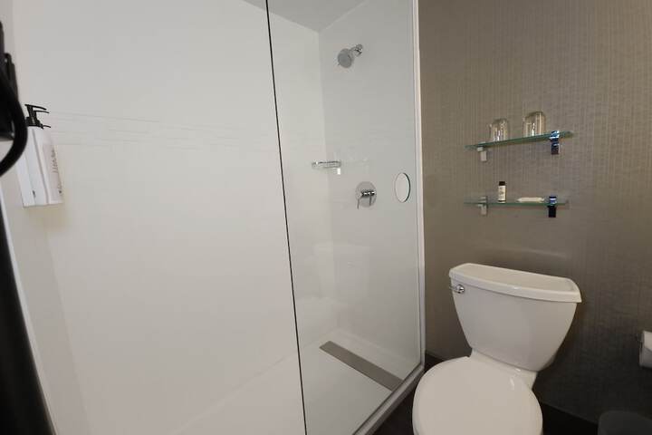Skyline Hotel Detroit Airport SureStay Collection by BW