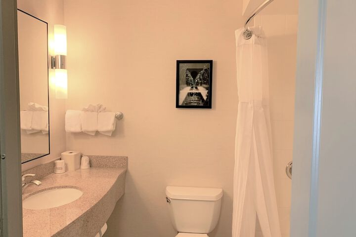 Hilton Garden Inn Albany Medical Center
