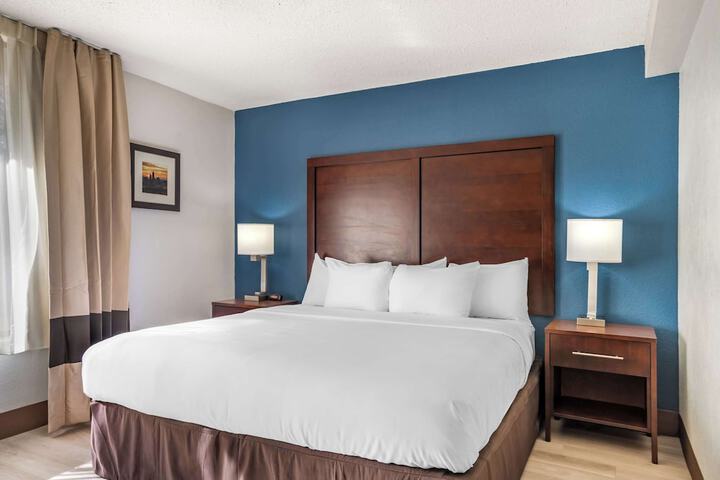 Comfort Inn Charlotte Airport Uptown