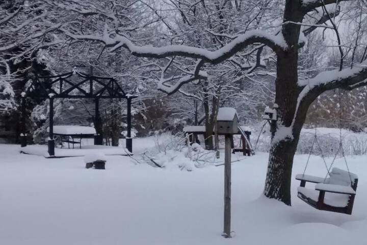 Property Grounds 41 of 46