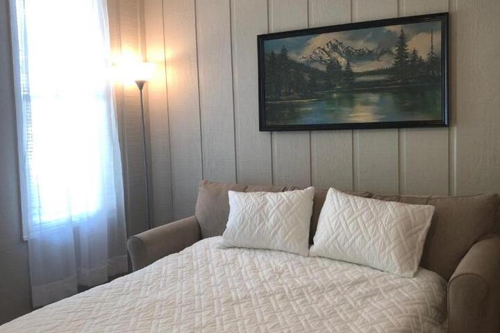 Downtown 2 Bedroom Cottage Sleeps 6, Walking Distance to Honeywell, Downtown Restaurants, Shopping