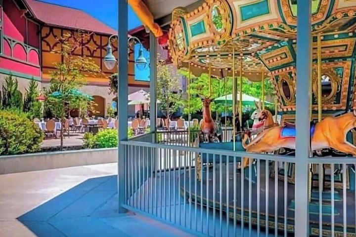 Family Vacation heated in / out Pool Tubing & Ice Skating 719 3 Bedroom Townhouse by RedAwning