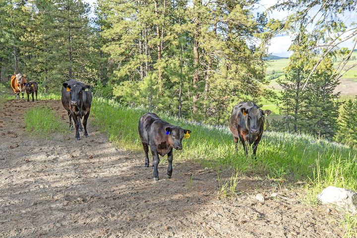 Eden Valley Guest Ranch