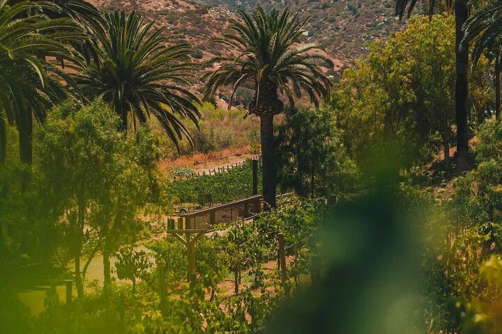 Bandy Canyon Ranch