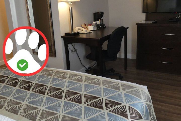Room 19 of 40