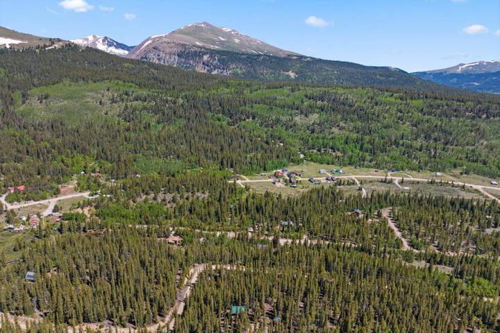 Relaxing Alpine Oasis - Minutes from Breckenridge