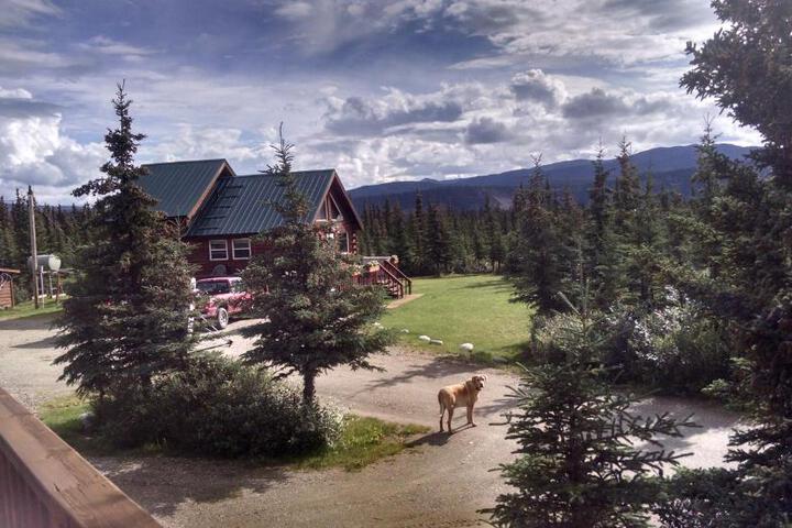 Denalis Alaskan Spruce Cabins