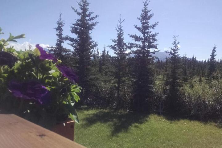 Denalis Alaskan Spruce Cabins