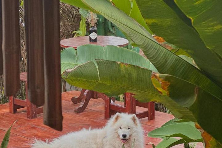 Casa Luz - Fernando de Noronha
