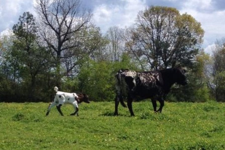 Seventy-four Ranch