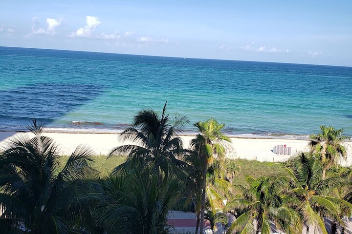 Beach 260 of 278