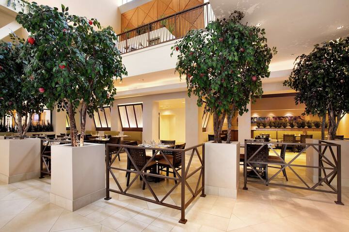 Hilton Stockton