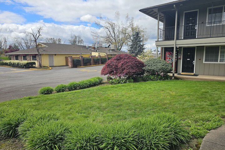 Village Inn Springfield