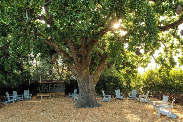 The Lodge at Sonoma Resort Autograph Collection