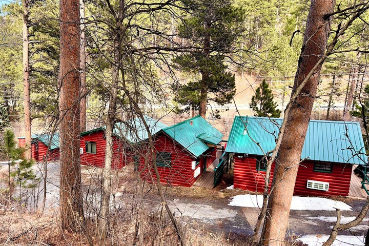 Ponderosa Pines