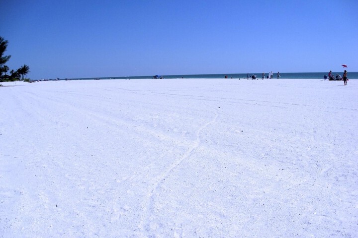 Anna Maria Island Beach Palms 5B
