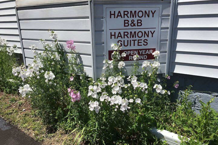 Harmony B & B & Suites