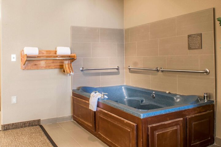 Comfort Inn Edinburg South