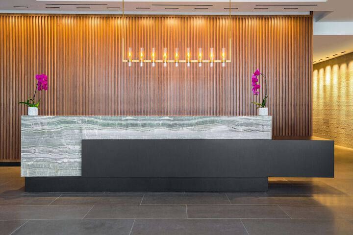 C. Baldwin Curio Collection by Hilton