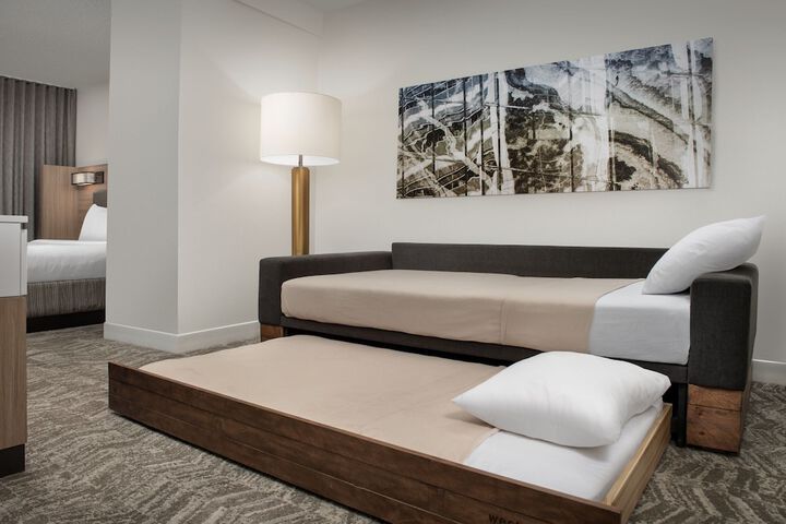 SpringHill Suites by Marriott Atlanta Buford / Mall of Georgia