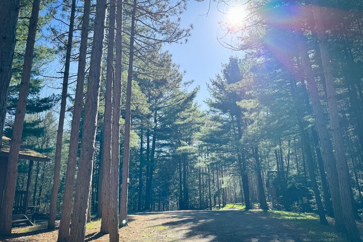 Boyers Pond Campground
