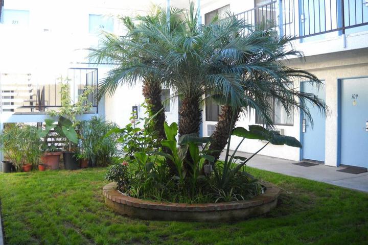 Palms Courtyard Inn