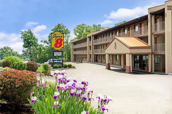 Hotel 3 of 12