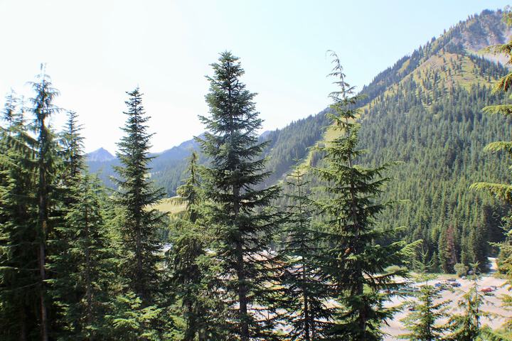 Crystal Chalets Condominiums at Crystal Mountain Ski Resort
