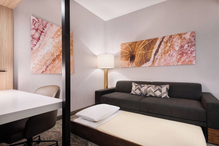 SpringHill Suites by Marriott Tifton