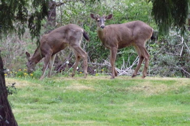 Property Grounds 17 of 20