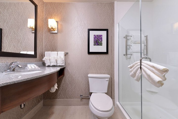 Hilton Garden Inn Hobbs